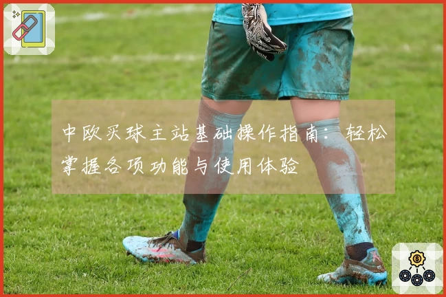 中欧买球主站基础操作指南：轻松掌握各项功能与使用体验