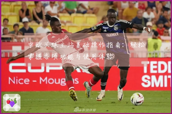 中欧买球主站基础操作指南：轻松掌握各项功能与使用体验
